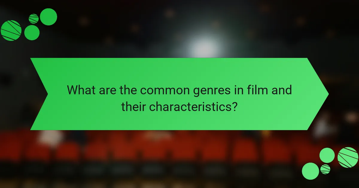 What are the common genres in film and their characteristics?