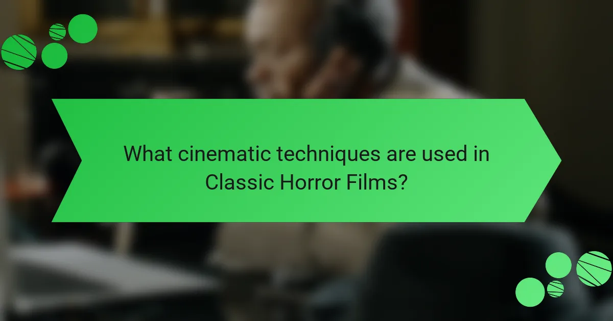 What cinematic techniques are used in Classic Horror Films?